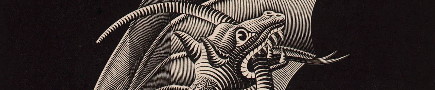 The illusion of a Dragon
