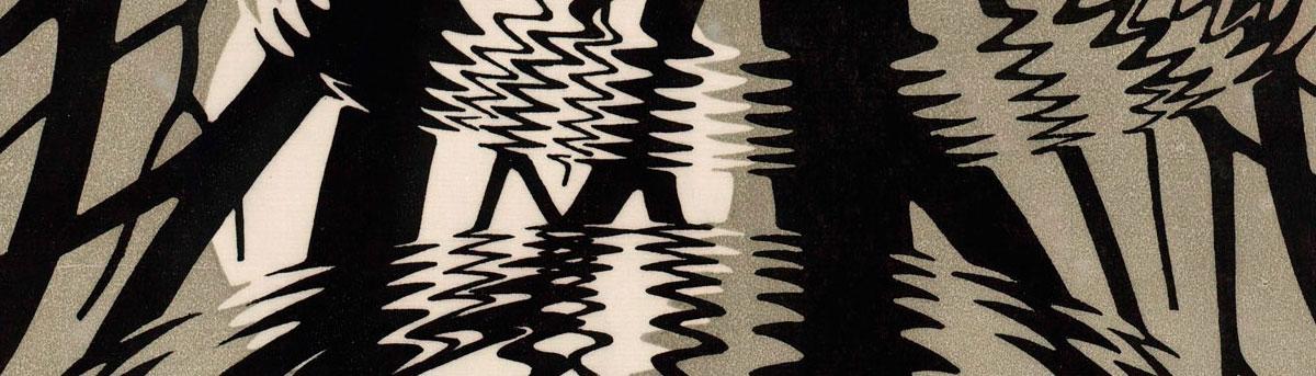 Reflections in Rippled surface