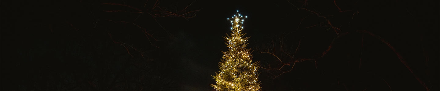 Lighting the Swedish Christmas Tree
