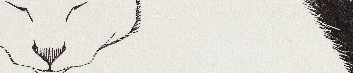 Nieuwe aanwinst: Witte poes van Escher