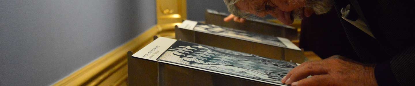 Blinden en slechtzienden