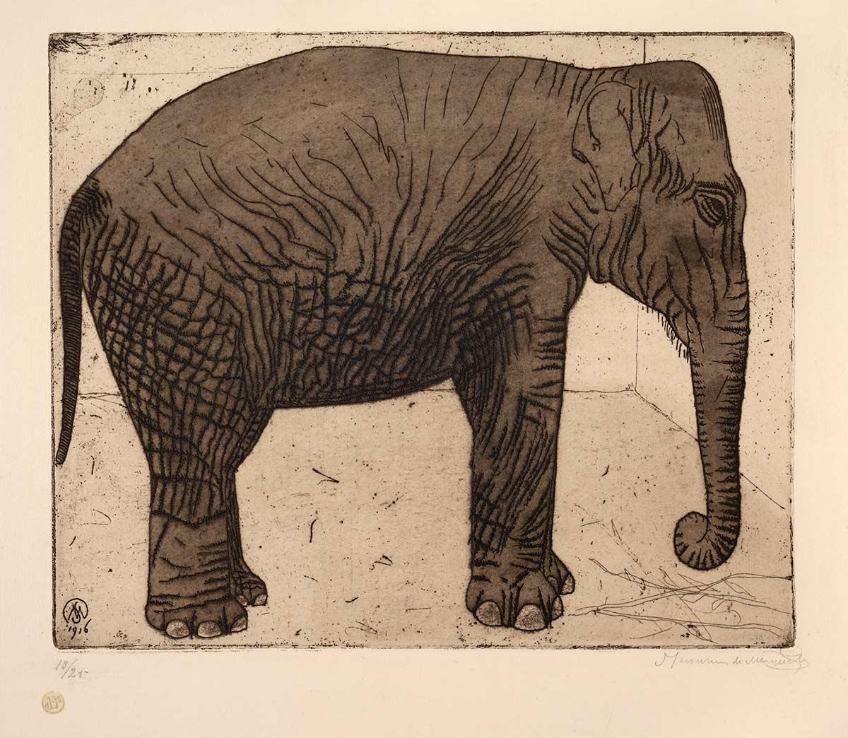 Samuel Jessurun de Mesquita, Olifant, ets, 1916. Collectie: Kunstmuseum Den Haag