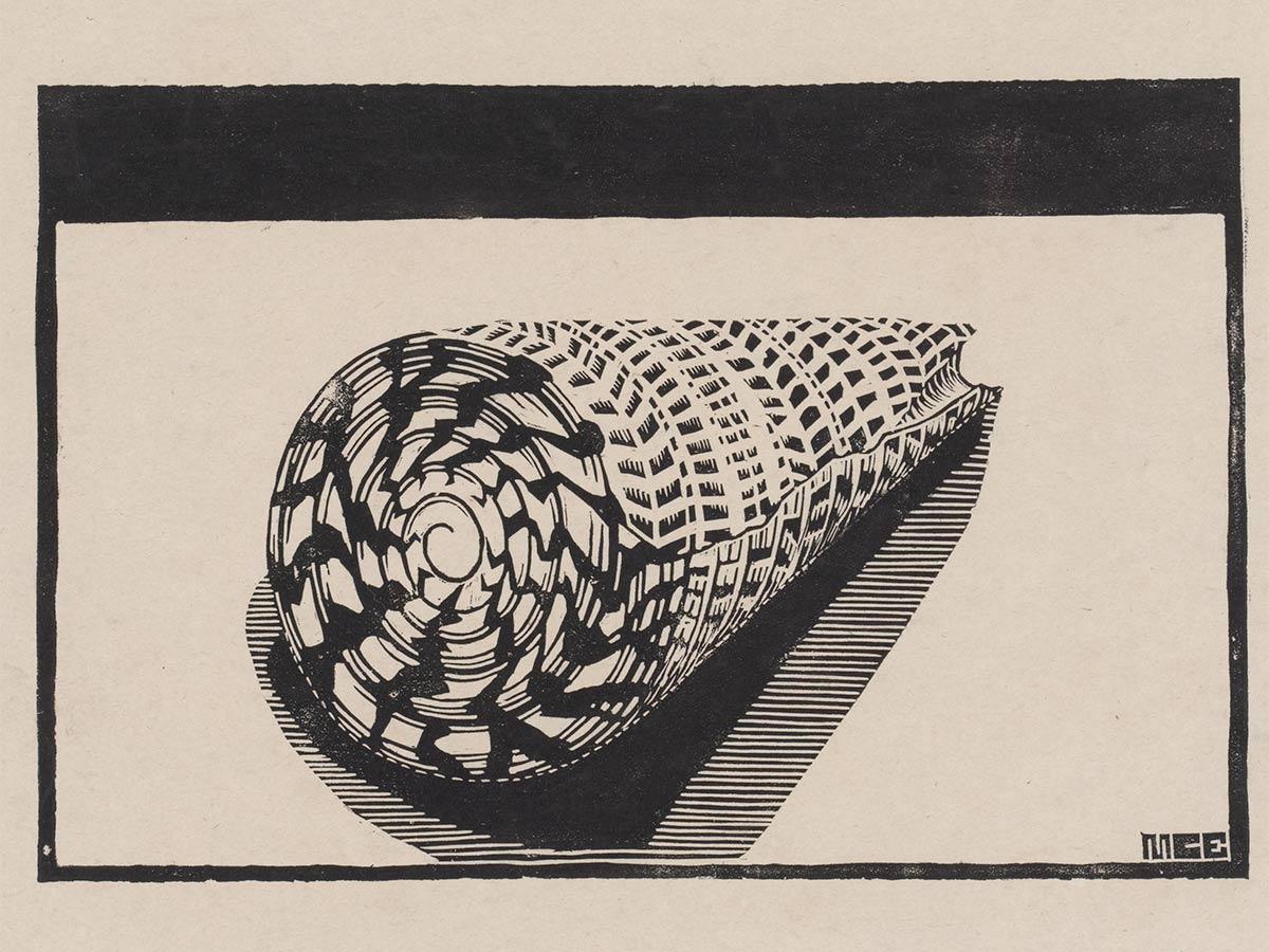 M.C. Escher, Sea-shell, woodcut, 1919 or 1920