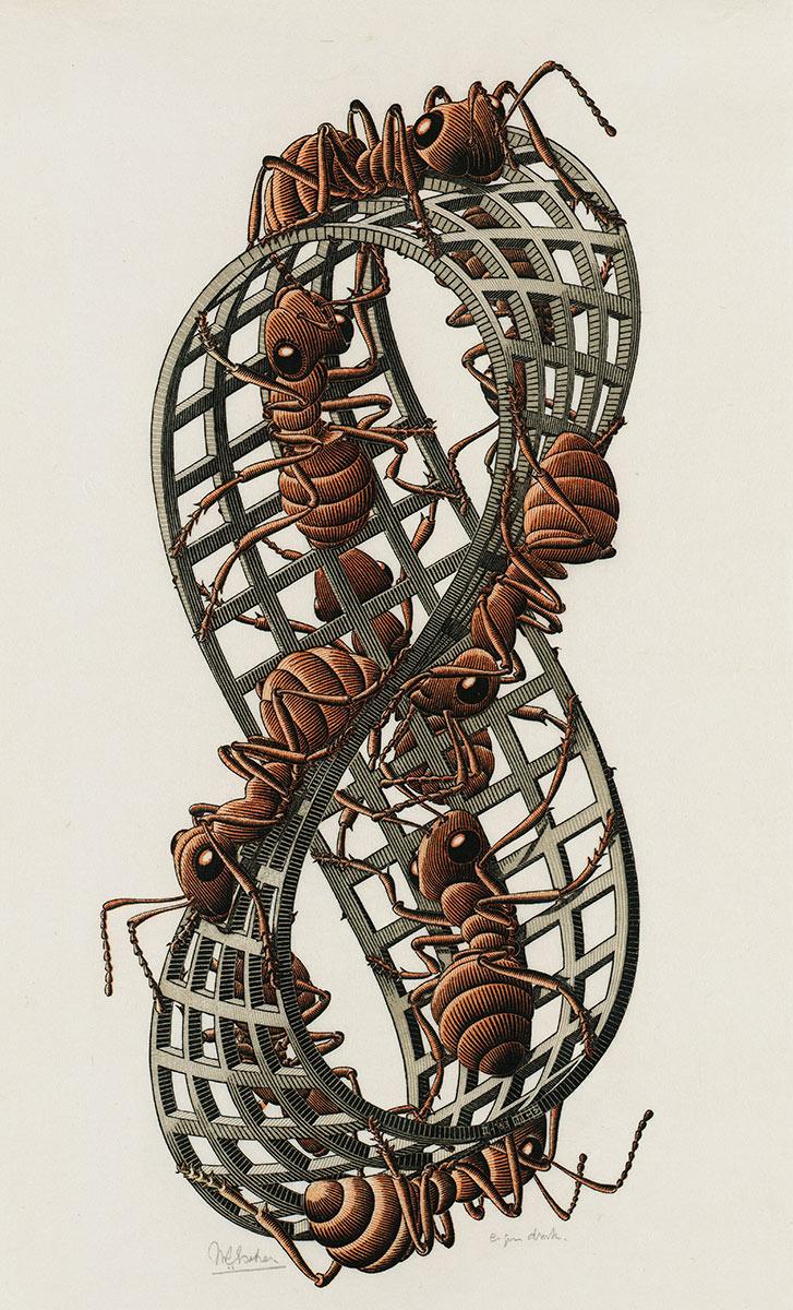 M.C. Escher, Band van Möbius II (Rode mieren), houtsnede in rood, zwart en grijsgroen, gedrukt van drie blokken, februari 1963