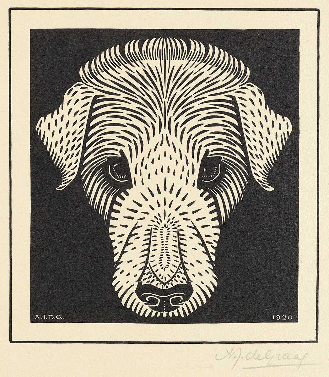 Julie de Graag, Hundekopf, Holzschnitt, 1920. Sammlung Kunstmuseum Den Haag