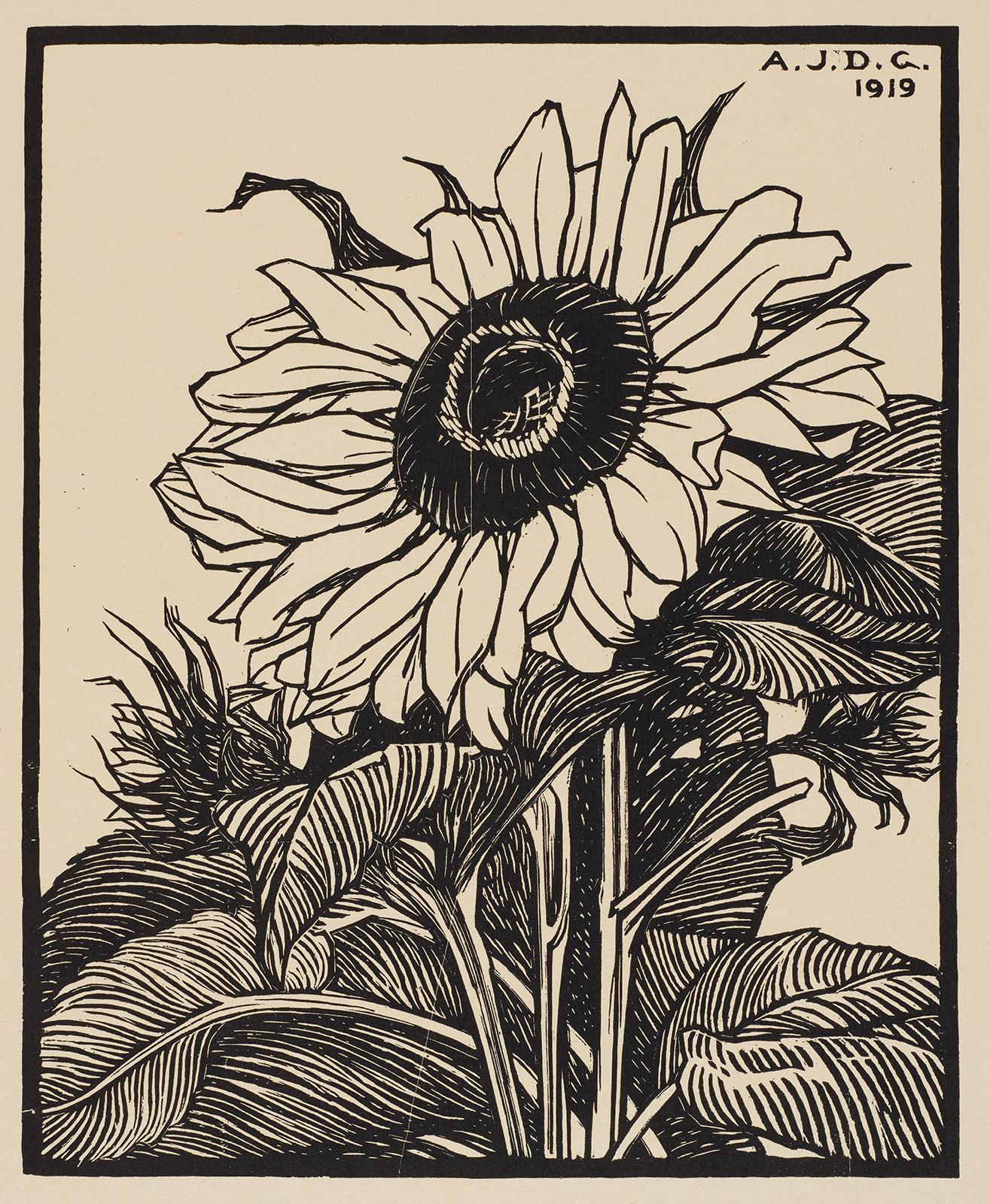 Julie de Graag, Zonnebloem, houtsnede, 1919. Collectie Kunstmuseum Den Haag