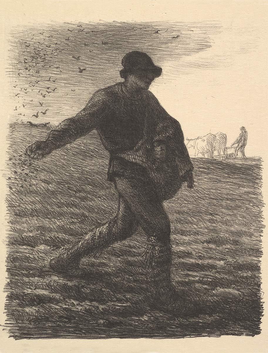 Jean-François Millet, The Sower, lithograph, 1851 (print 1879). Collection Kröller-Müller Museum, Otterlo