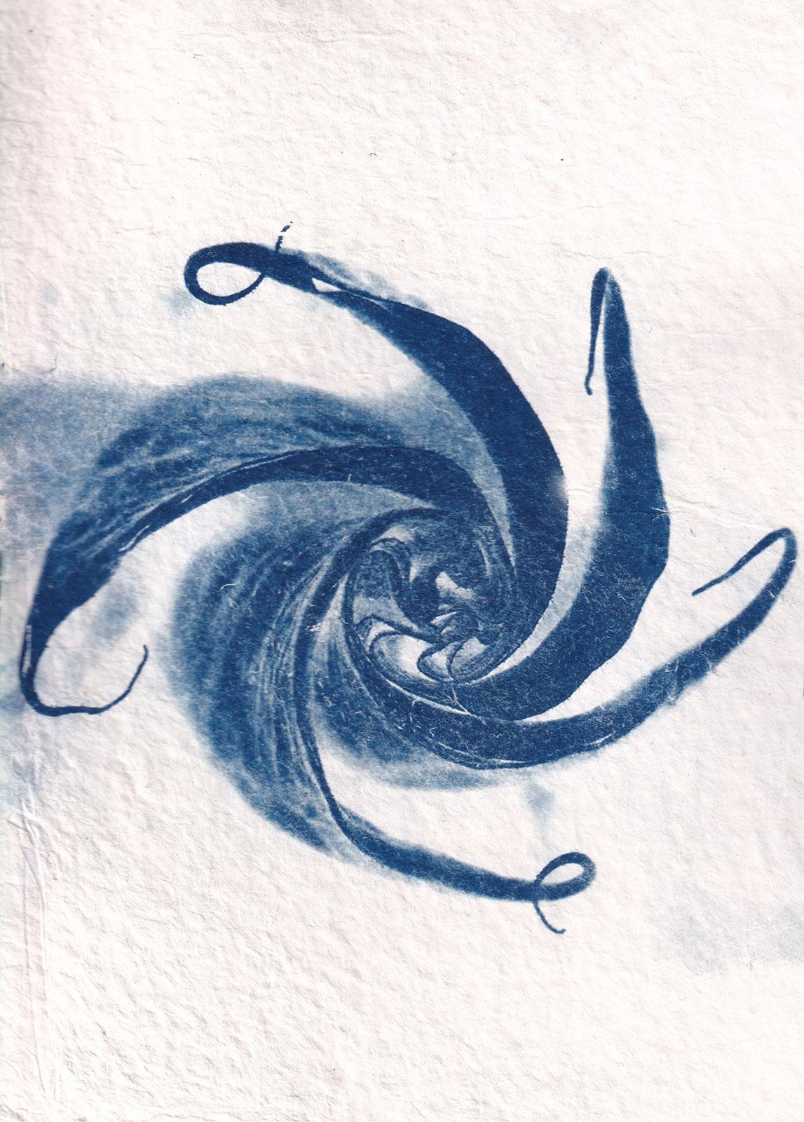 Tina Iris Chulo, Flying spell, cyanotypie, 2024