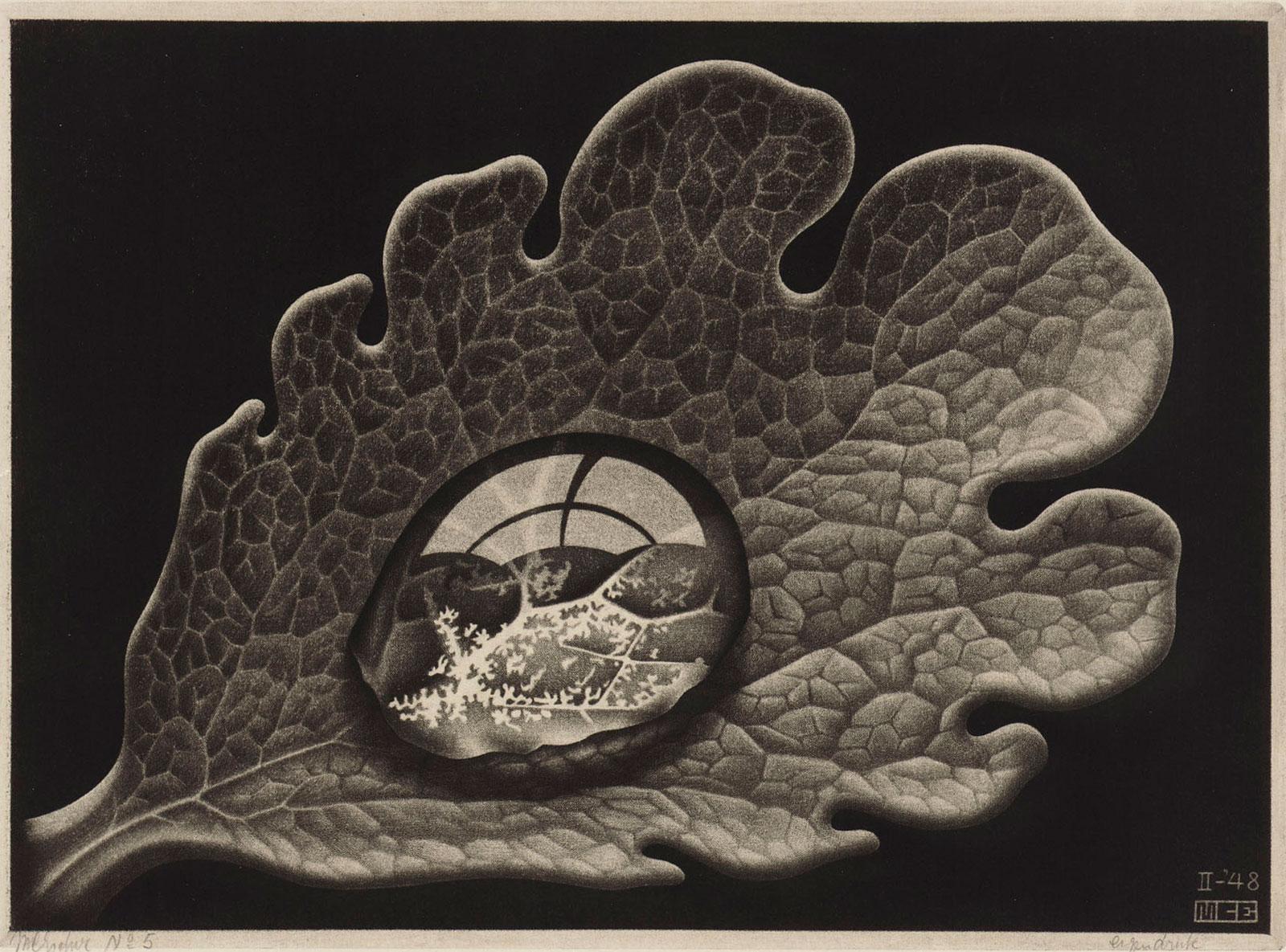 M.C. Escher, Drop (Dewdrop), mezzotint, 1948