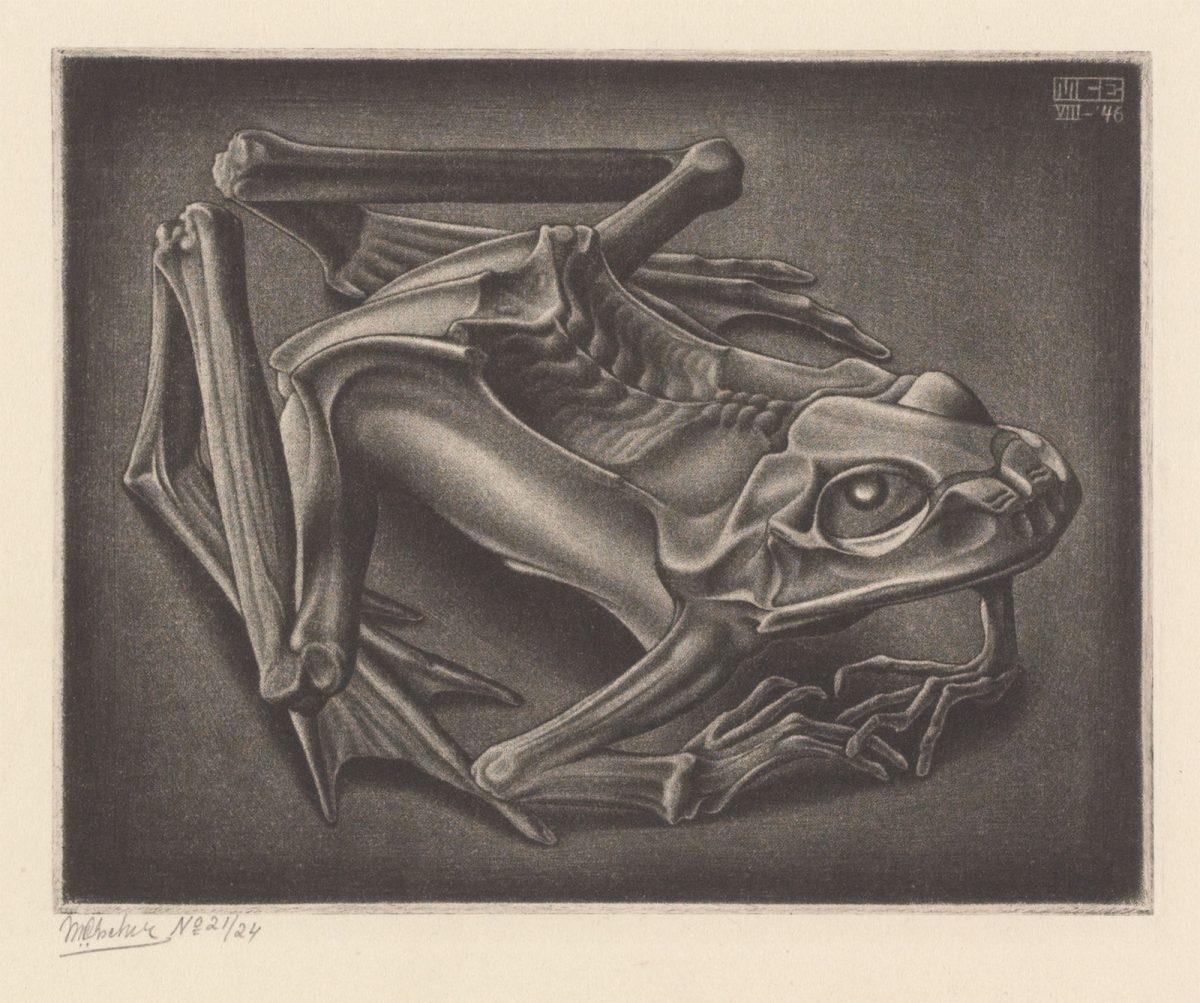 M.C. Escher, Mummified Frog, mezzotint, third state, August 1946