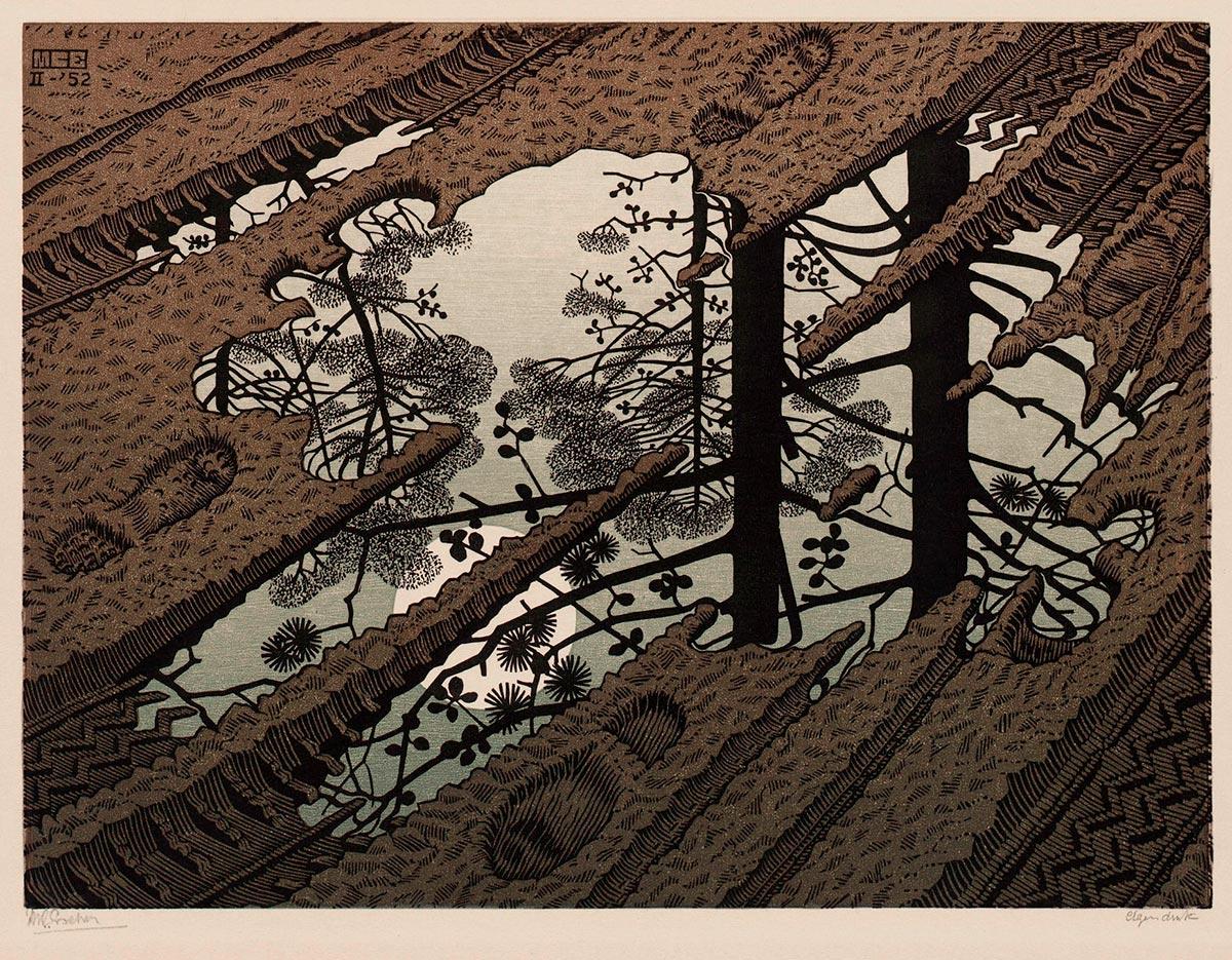 M.C. Escher, Modderplas, houtsnede in zwart, groen en bruin, gedrukt van drie blokken, februari 1952