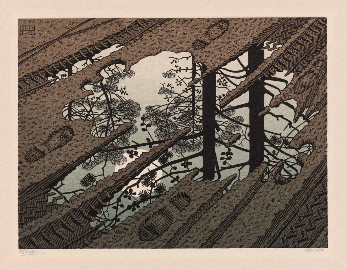 M.C. Escher, Modderplas, houtsnede in zwart, groen en bruin, gedrukt van drie blokken, februari 1952