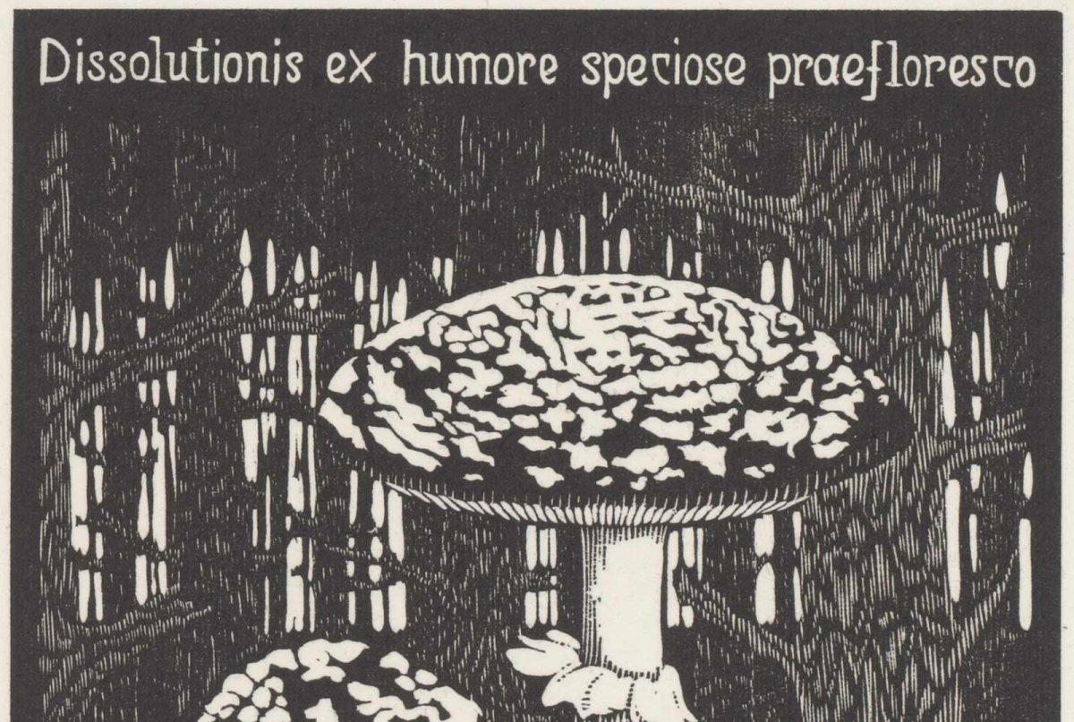 M.C. Escher, Toadstool (Emblemata XVI) woodcut, between March and June 1931 (detail)