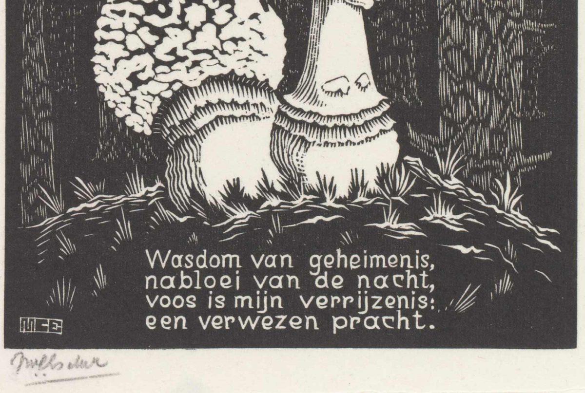 M.C. Escher, XVI, Paddenstoel, houtsnede, tussen maart en juni 1931 (detail)