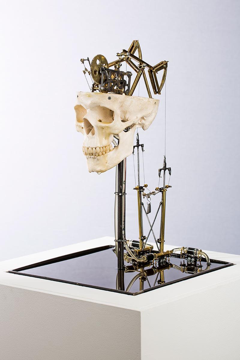 Jelle Korevaar, ..., 2017