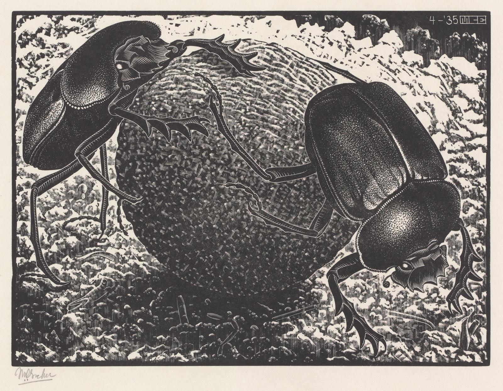 M.C. Escher, Scarabs wood engraving, April 1935