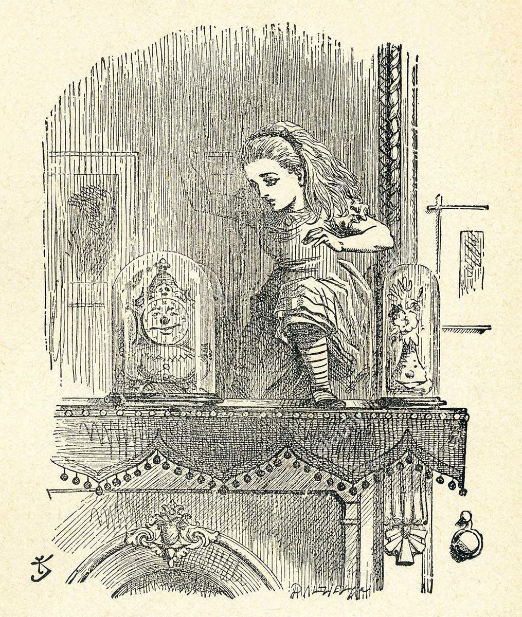 Illustration for Through the Looking glass by John Tenniel