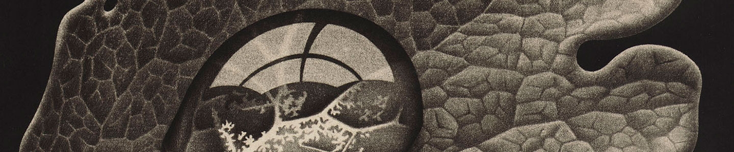 Vacature: wij zoeken een educator, 24 uur per week (VERVULD)