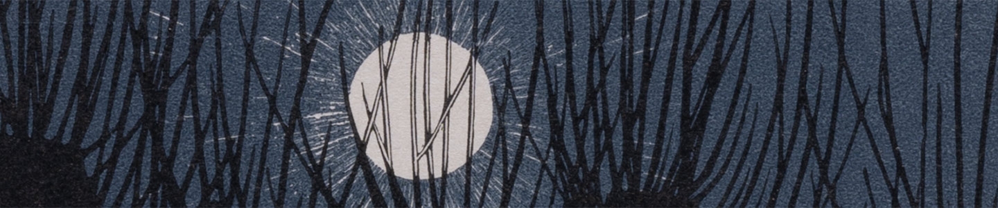 Publieksprogramma M.C. Escher & Julie de Graag