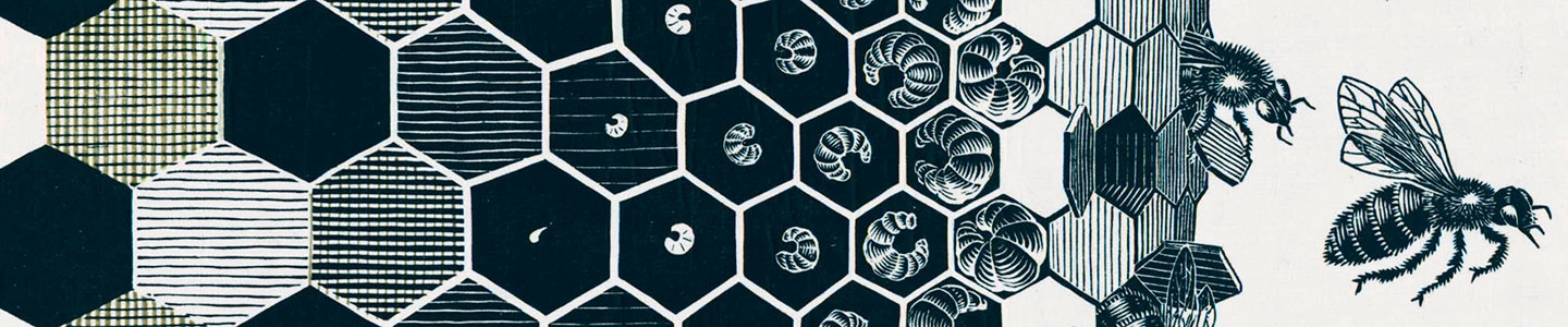 Medewerker maandag: Monique Veldhoven