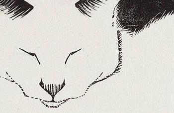 Escher in The Palace acquires unique White Cat and discovers text written by Escher