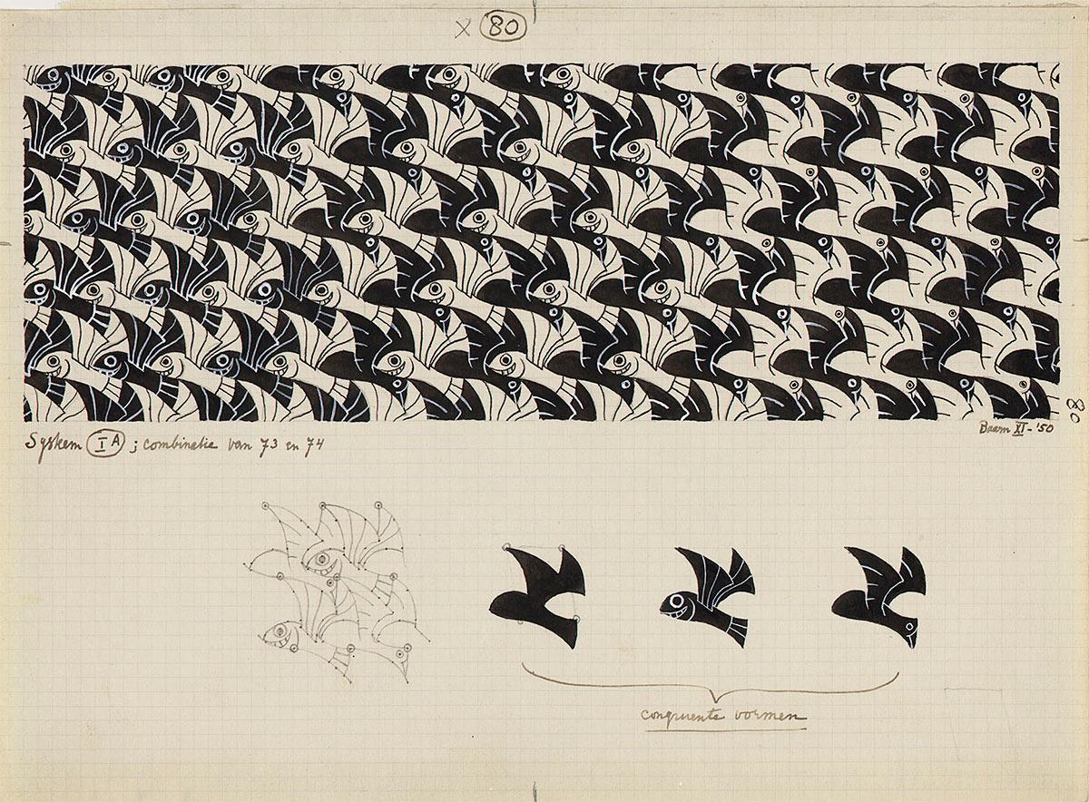 Fish and birds experiments