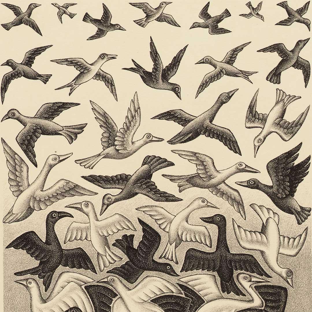 Ridder in de Orde van Oranje Nassau