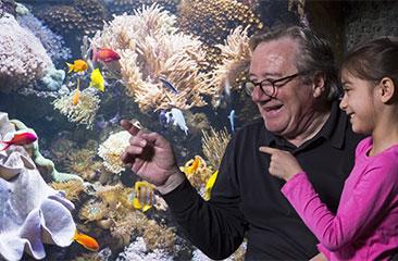 SEA LIFE Scheveningen
