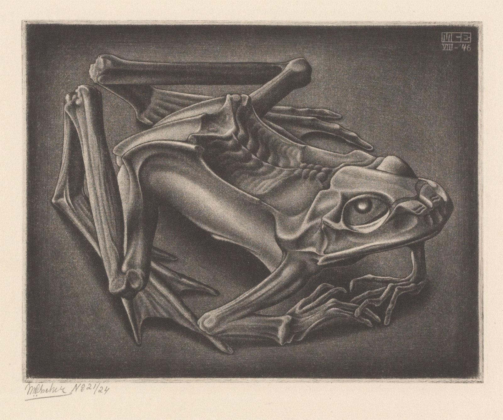Mummified Frog
