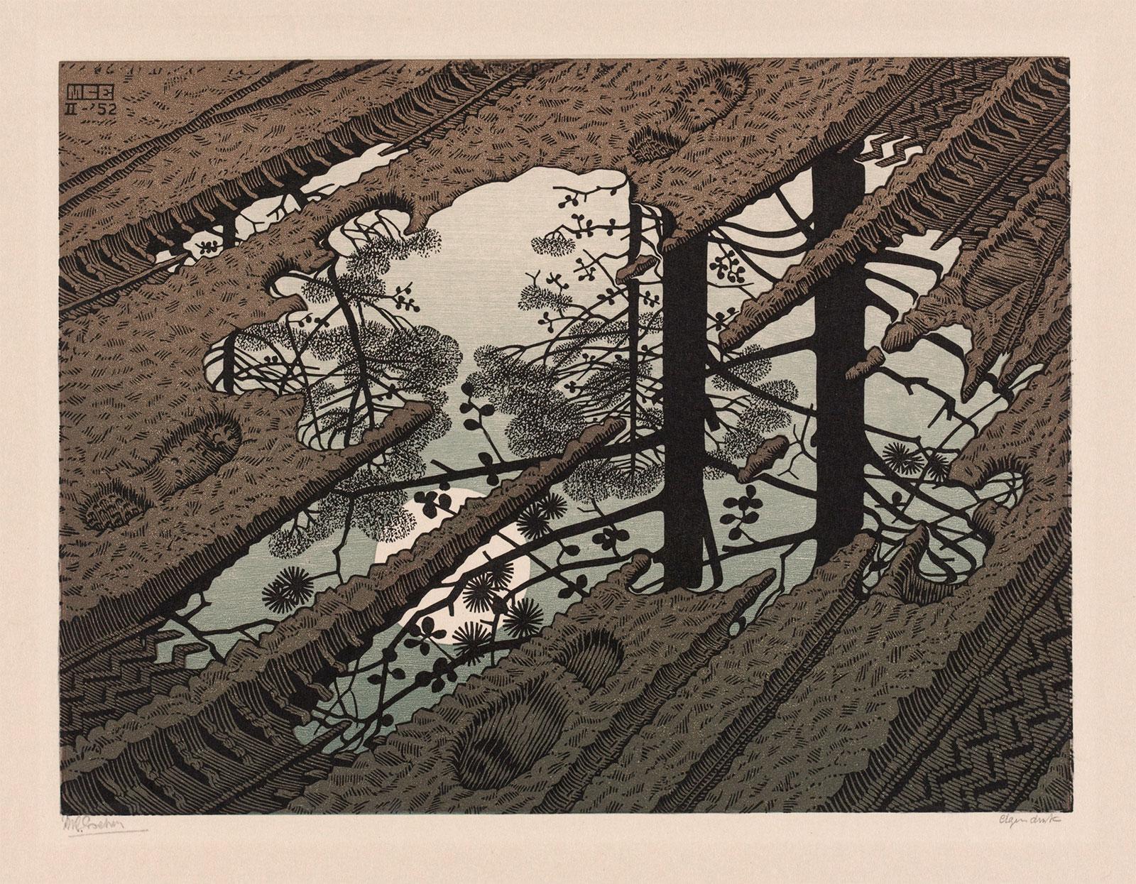 Infinity in a puddle
