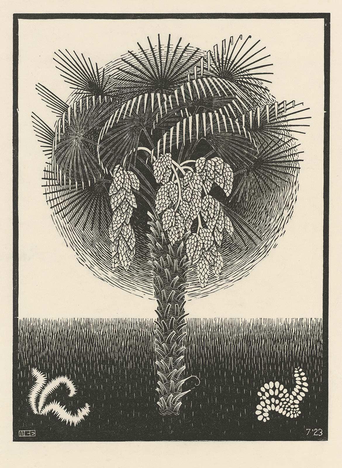 Escher's palm trees