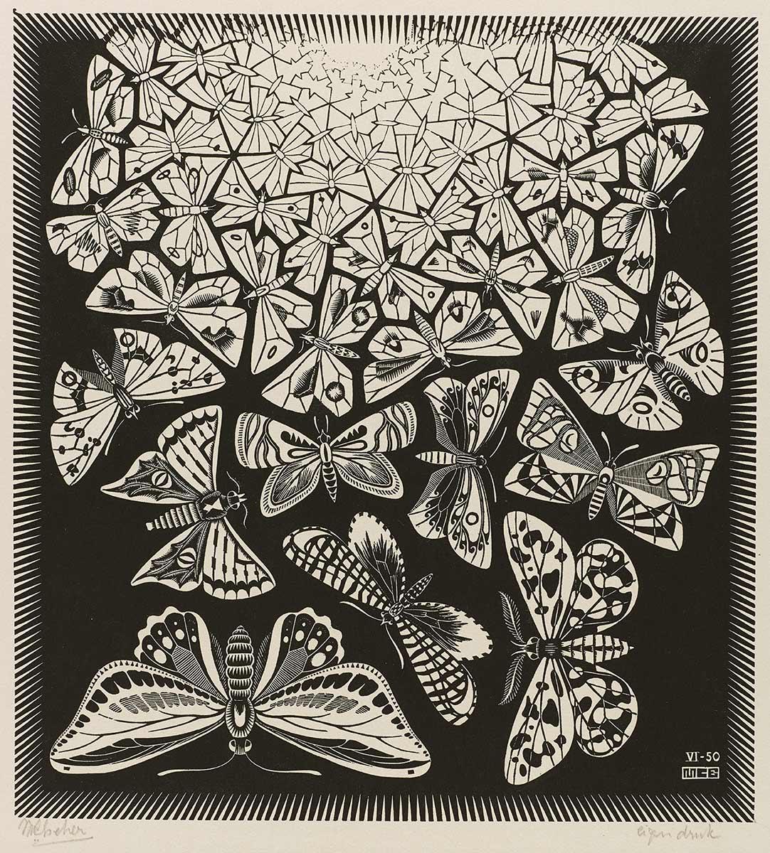 Vlinders