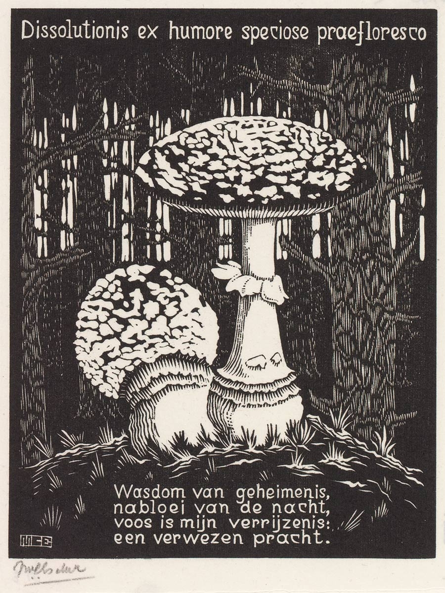 Toadstool (Emblemata)