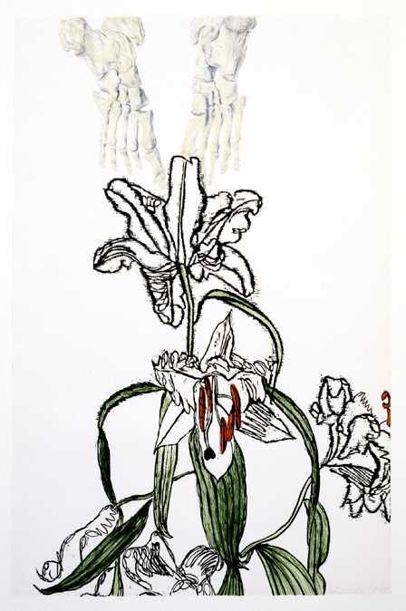 Erik Andriesse, Lelie met lijk, houtdruk en lithografie, 1990
