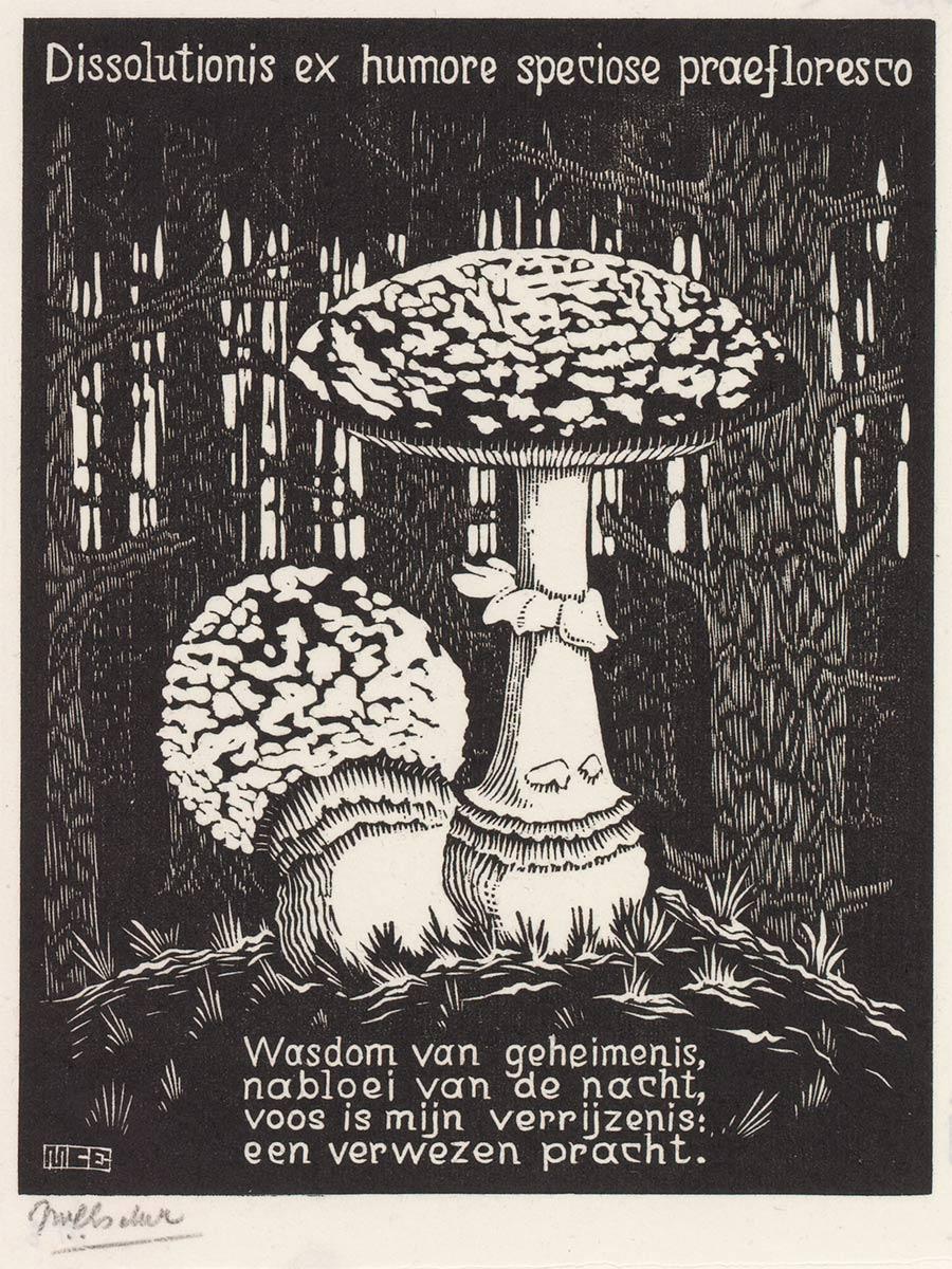 <p>M.C. Escher, Toadstool (Emblemata XVI), woodcut, between March and June 1931</p>