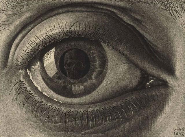 Oog