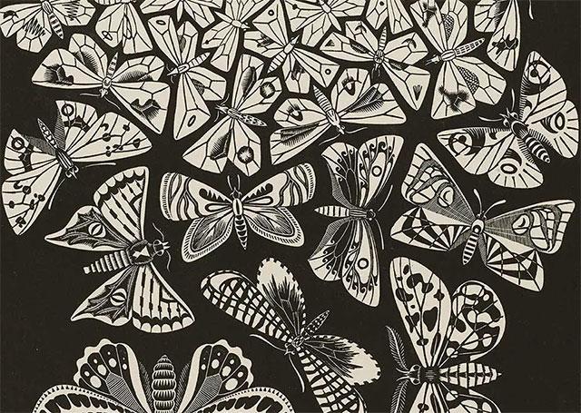 Vlinders