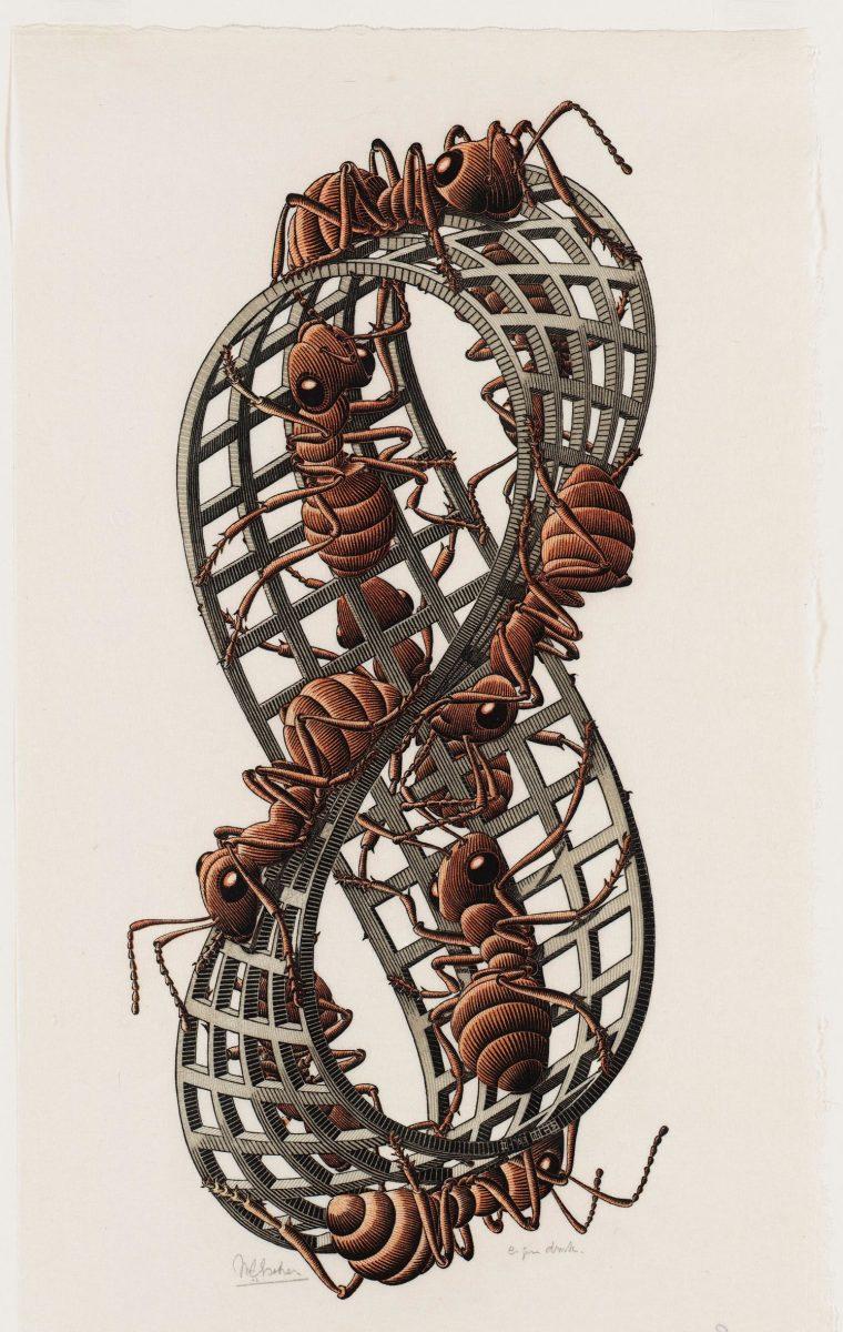 <p>M.C. Escher,<em> </em>Band van Möbius II (Rode mieren), houtsnede in rood, zwart en grijsgroen, gedrukt van drie blokken, 1963</p>